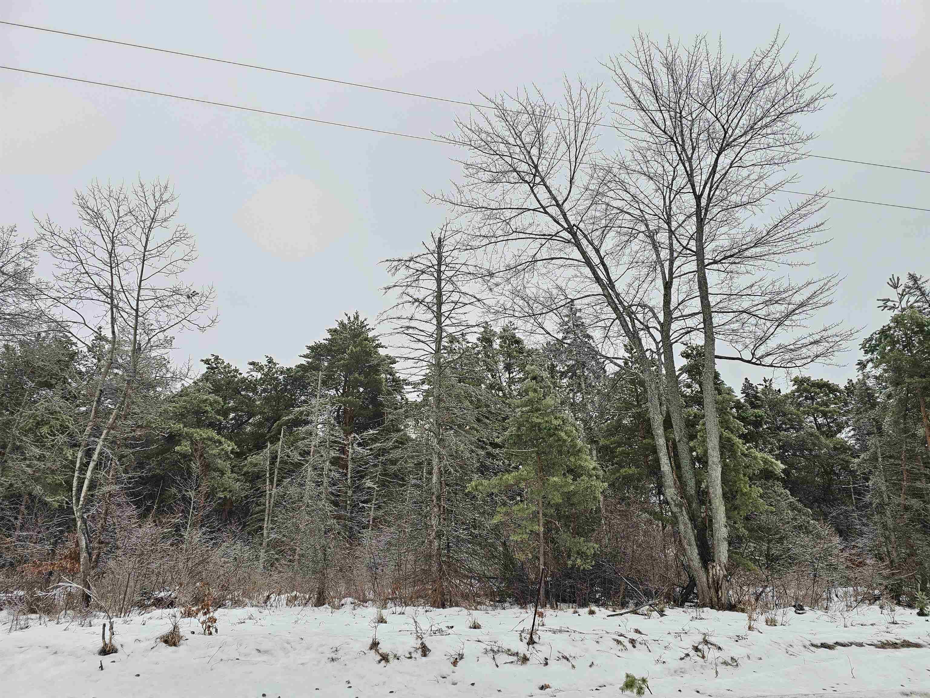 Lake City, MI 49651,00 Dickerson RD