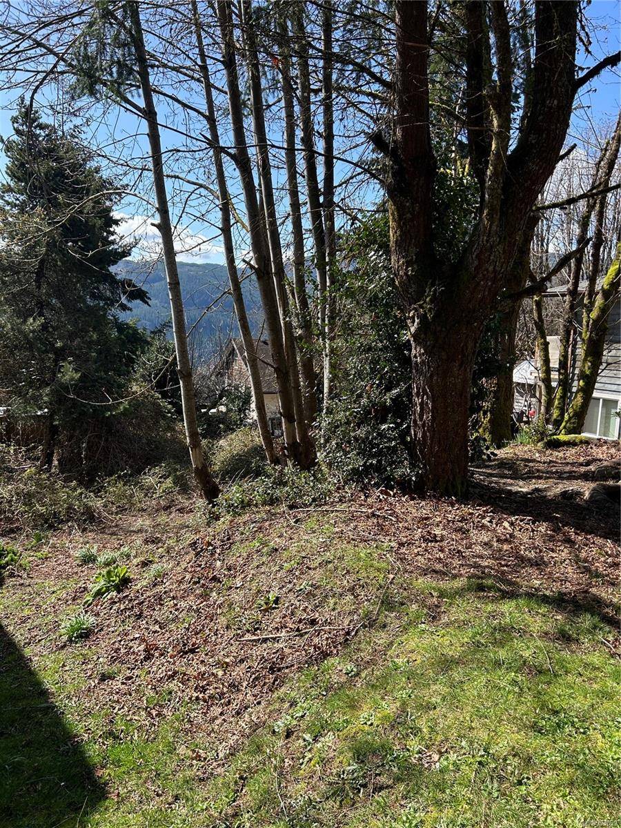 Youbou, BC V0R 3E1,LT 11 Cypress Rd