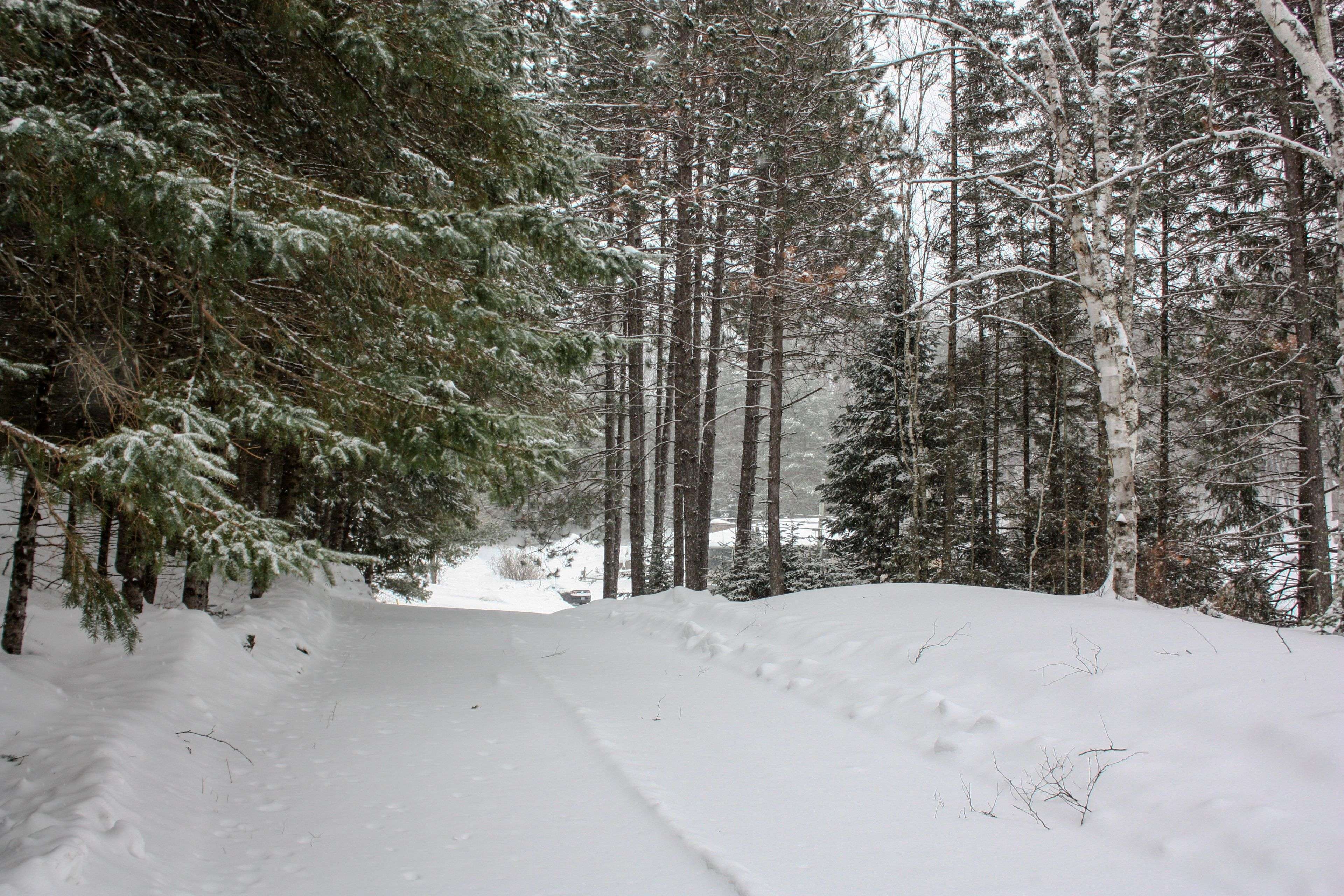 Faraday, ON K0L 1C0,22 Robert DR