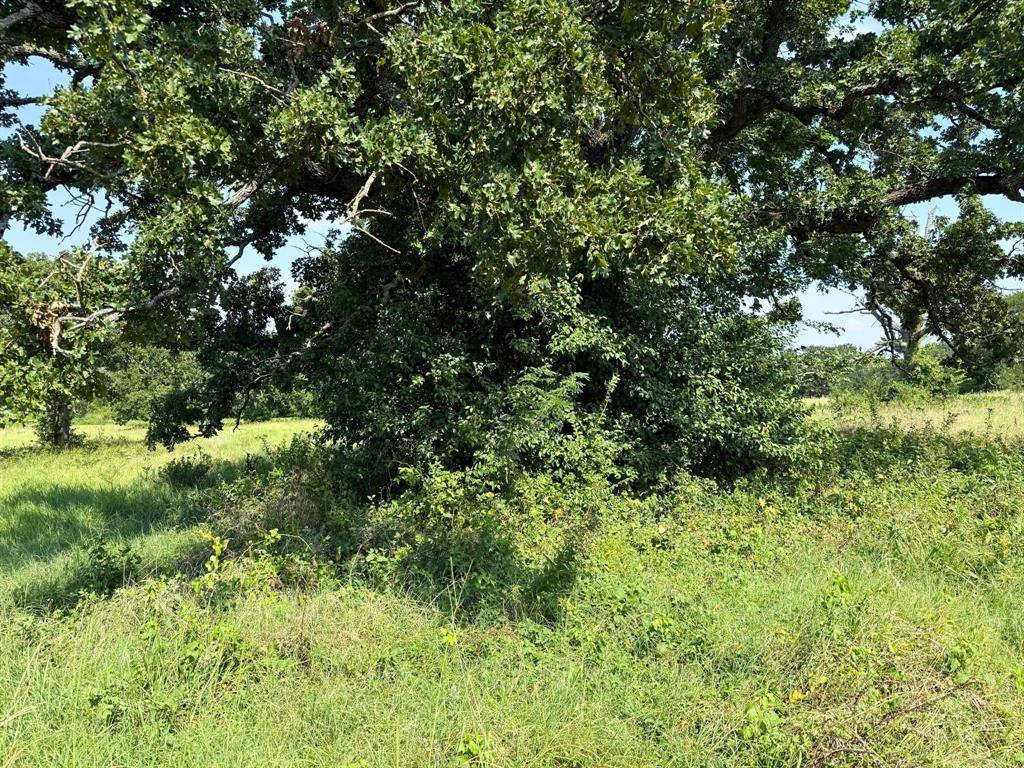 Alvarado, TX 76009,3634 County Road 401b