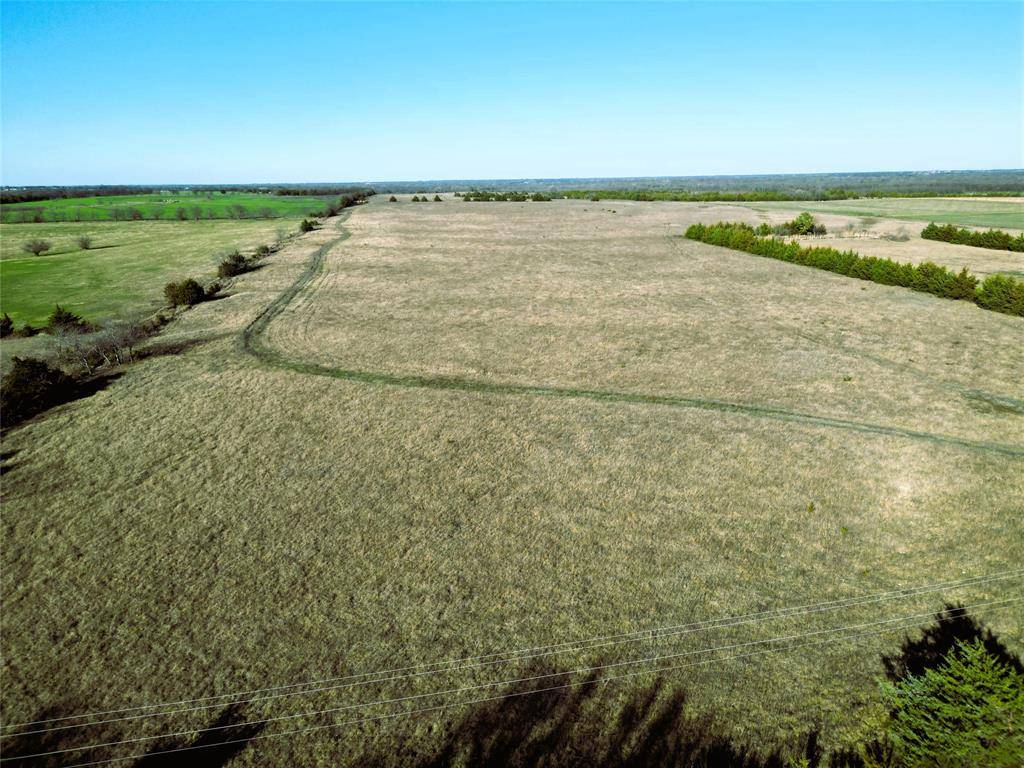 Wolfe City, TX 75496,90 ac County Road 4615
