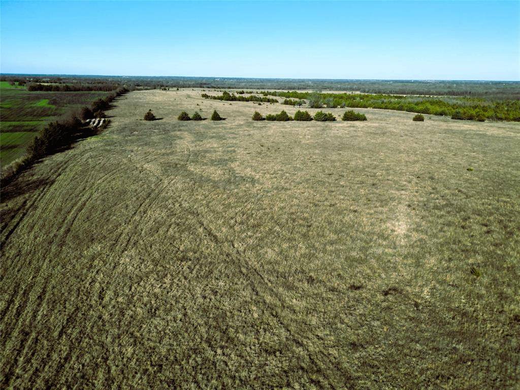 Wolfe City, TX 75496,90 ac County Road 4615