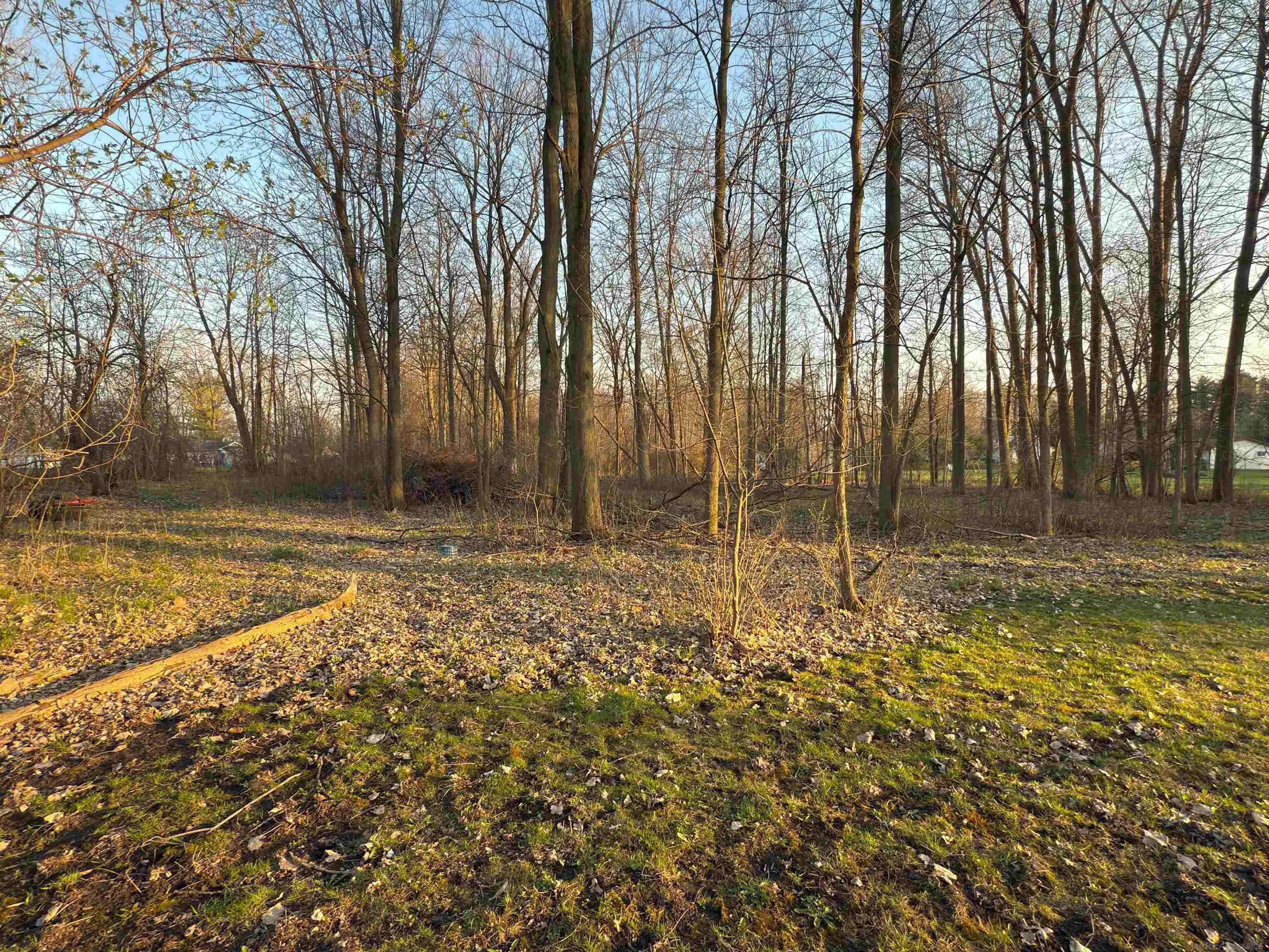 Sandusky, MI 48471,00 Bridgehampton ST