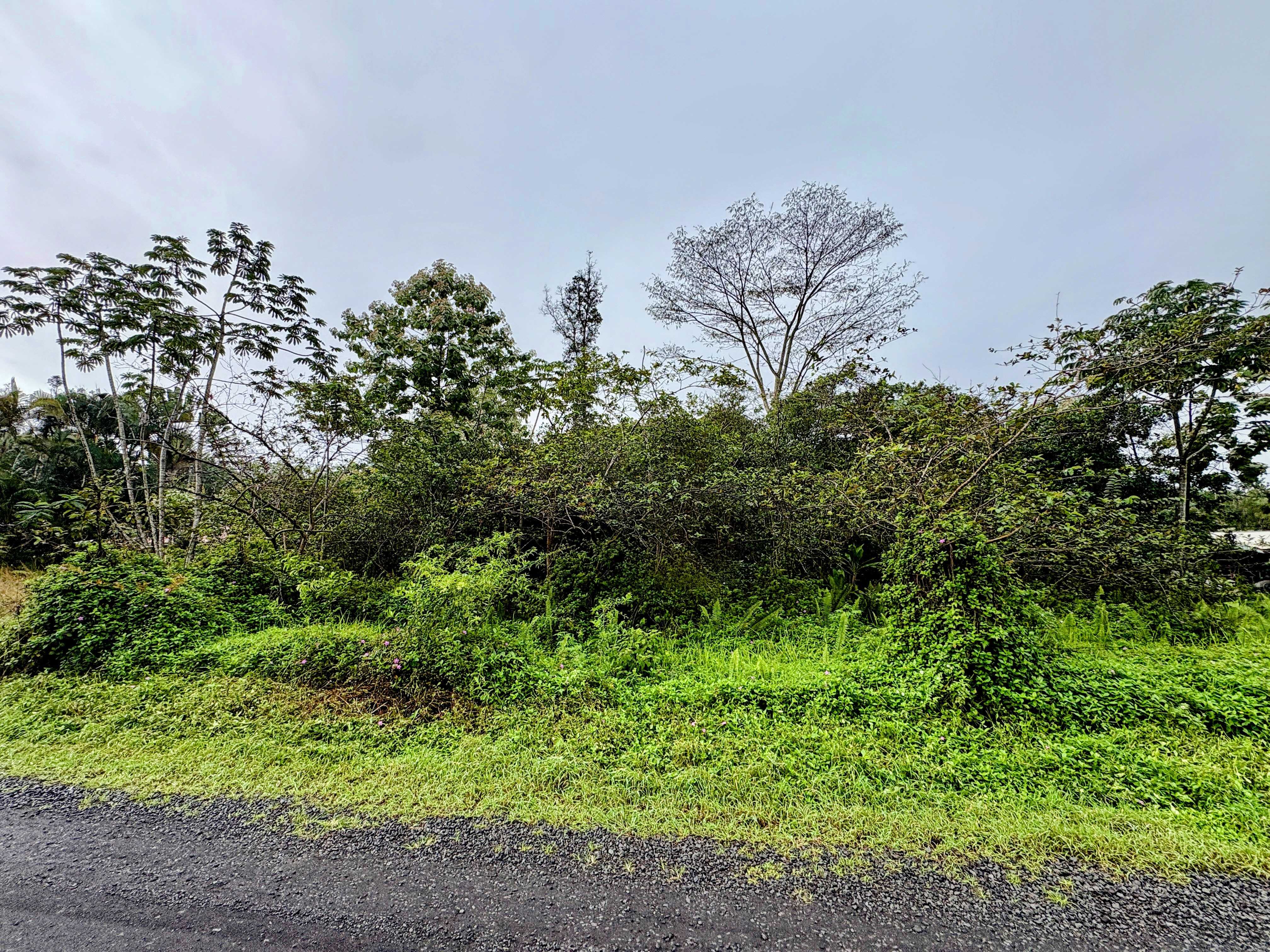 Keaau, HI 96749,21ST AVE