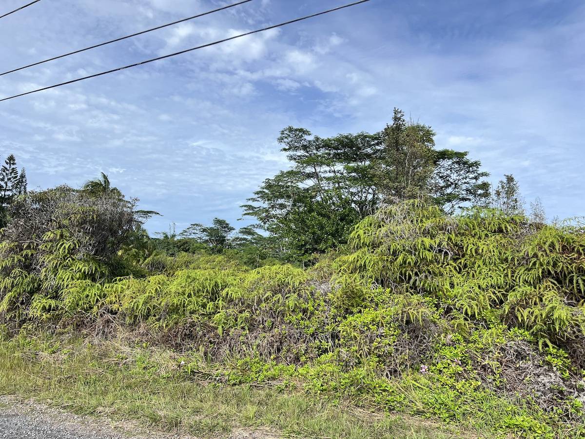 Keaau, HI 96749,2ND AVE