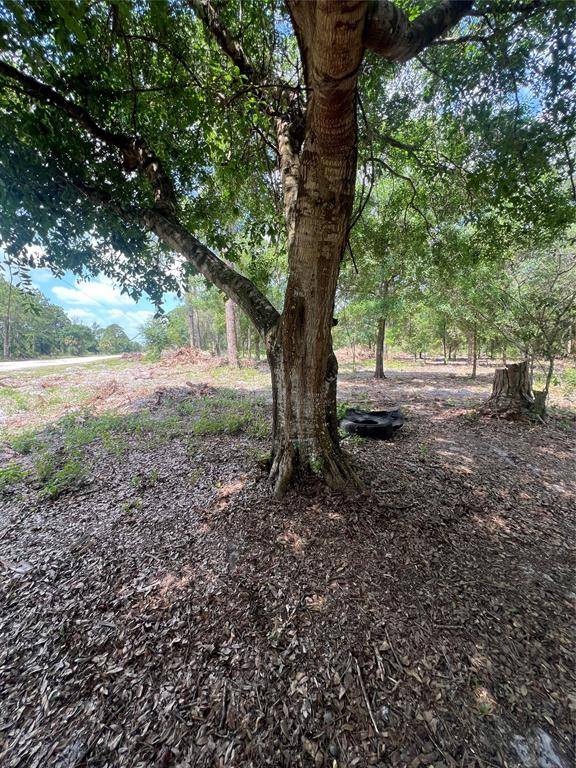 Clewiston, FL 33440,681 N Perimeter Rd