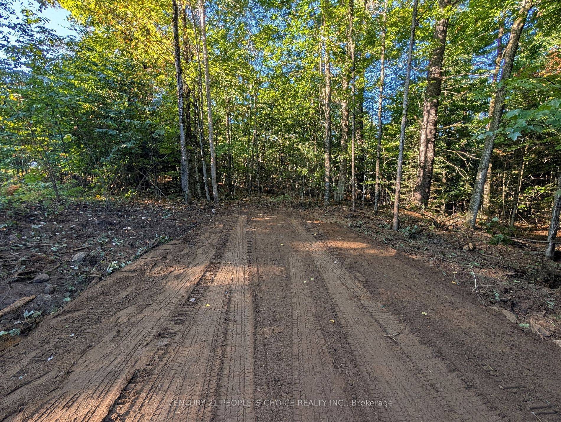 Minden Hills, ON K0M 2K0,1055 Porkys RD