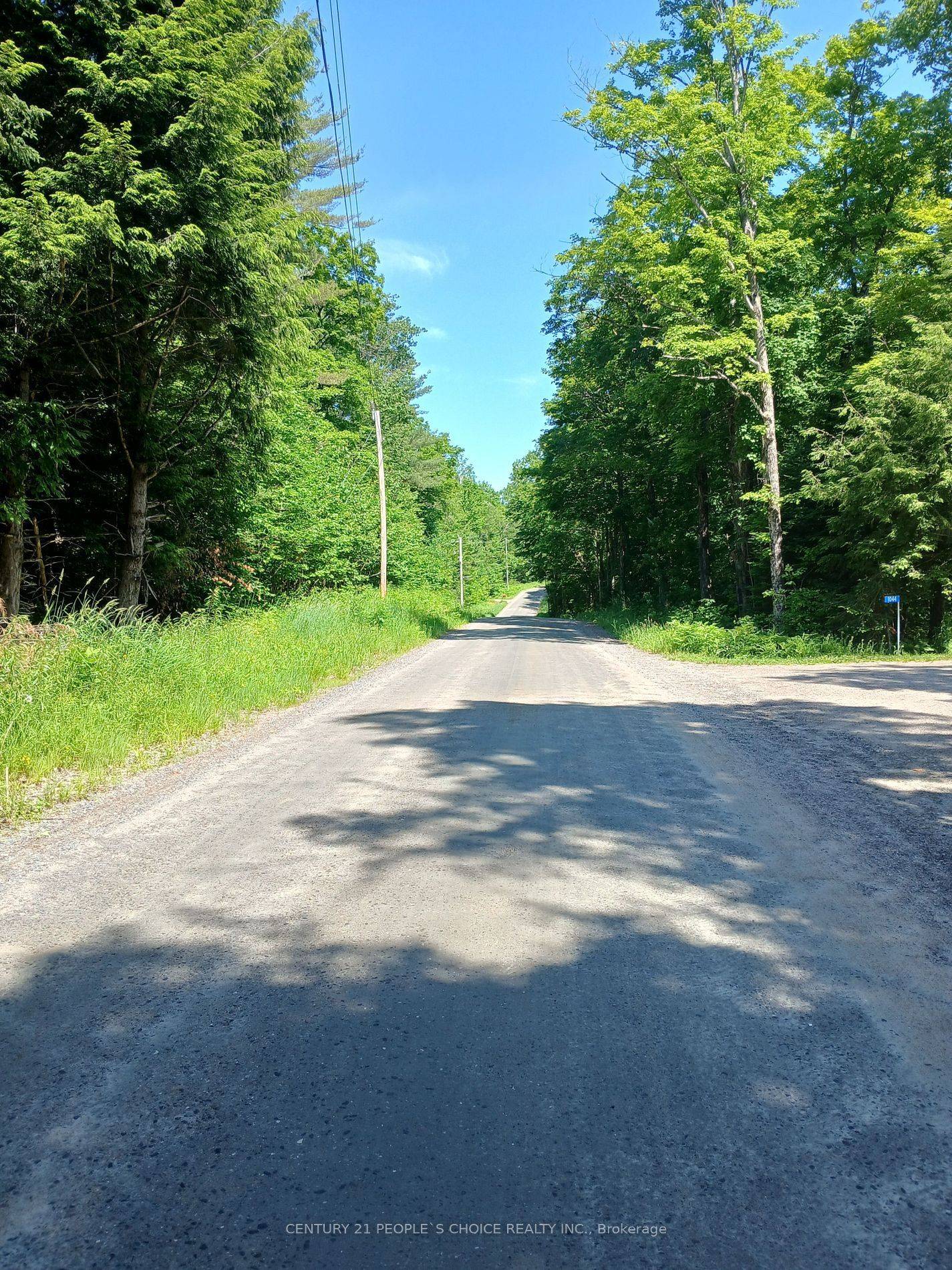 Minden Hills, ON K0M 2K0,1055 Porkys RD