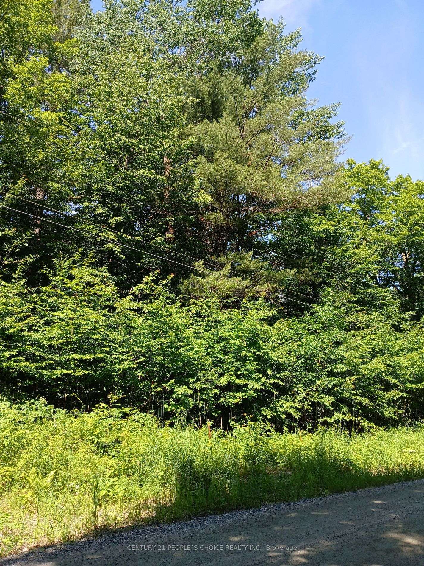 Minden Hills, ON K0M 2K0,1055 Porkys RD