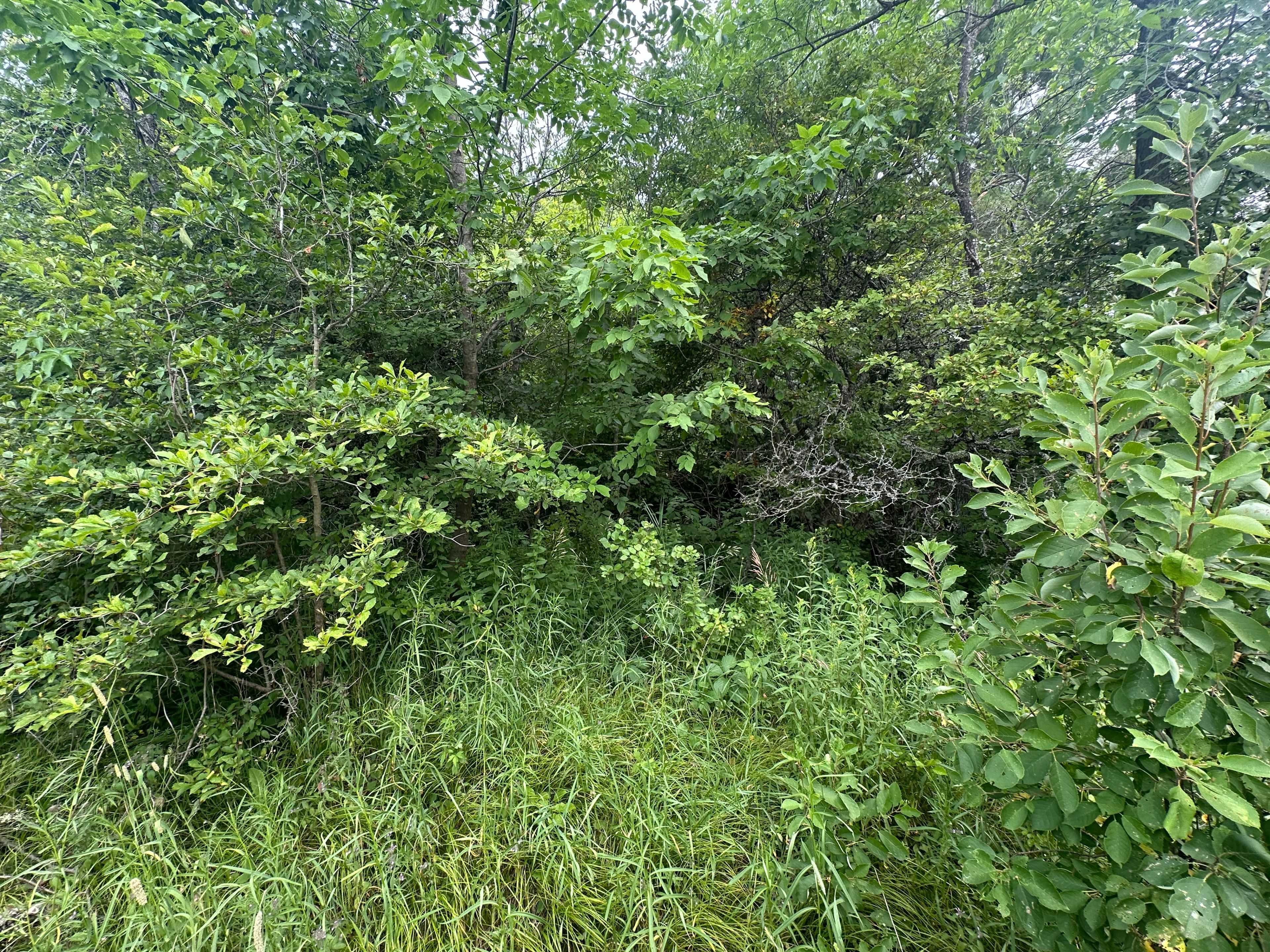 Marmora And Lake, ON K0K 2M0,0 Centre Line RD