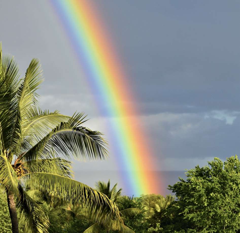 Kailua-kona, HI 96740,78-7070 ALII DR #A204