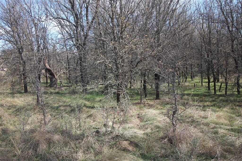 Bridgeport, TX 76426,Lot 21 Cheyenne Drive