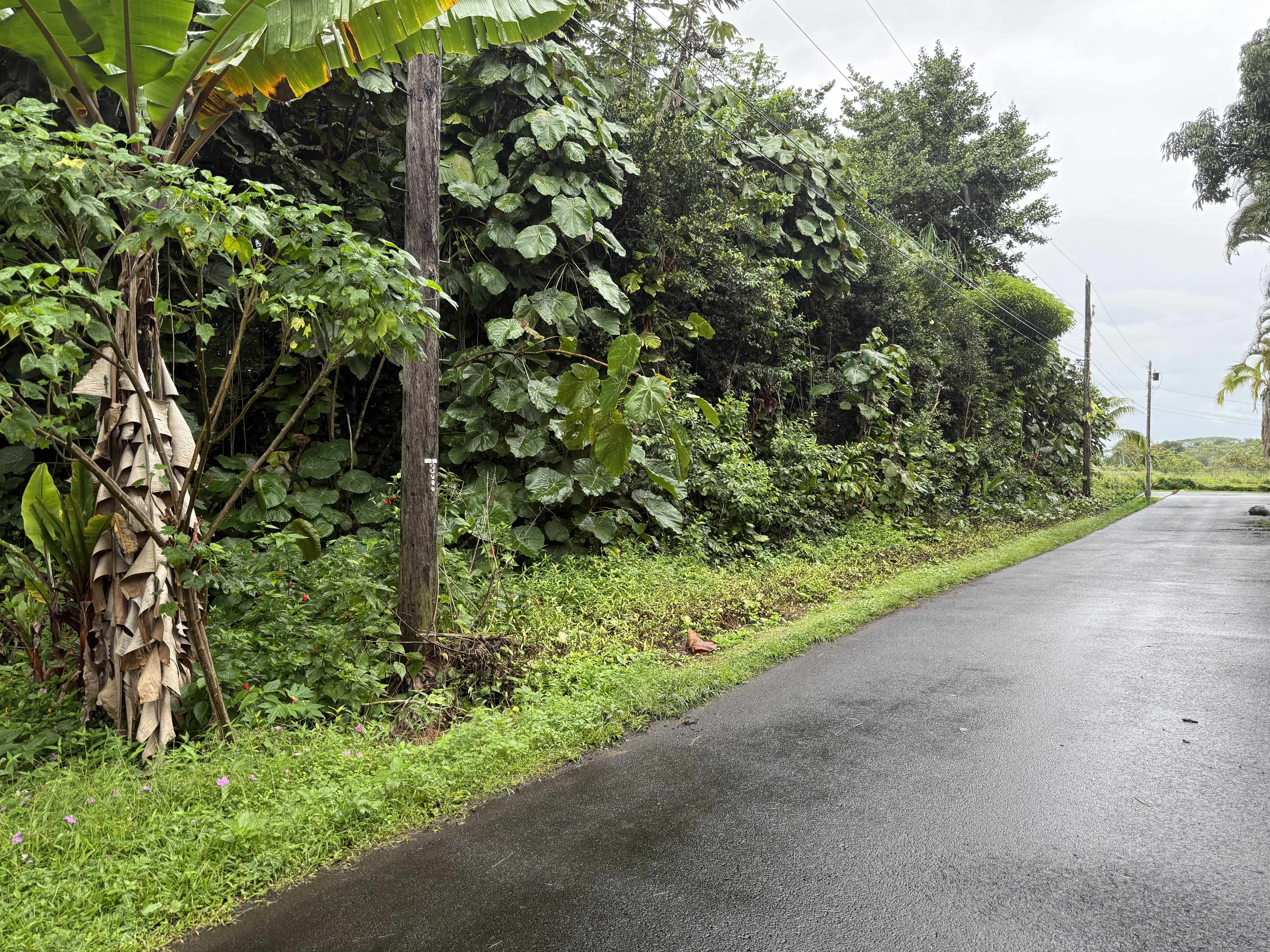 Pahoa, HI 96778,OPIHI ST