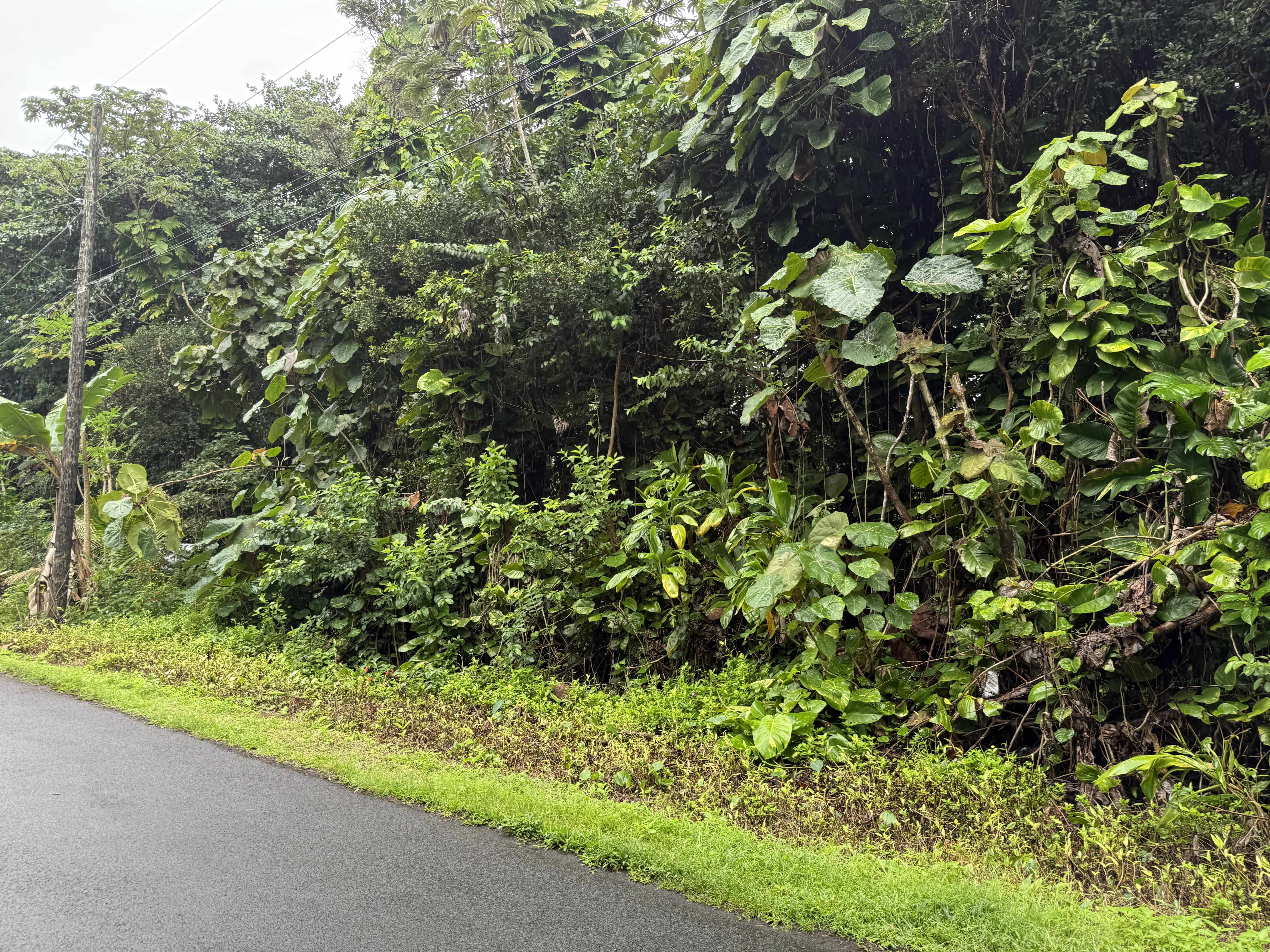 Pahoa, HI 96778,OPIHI ST