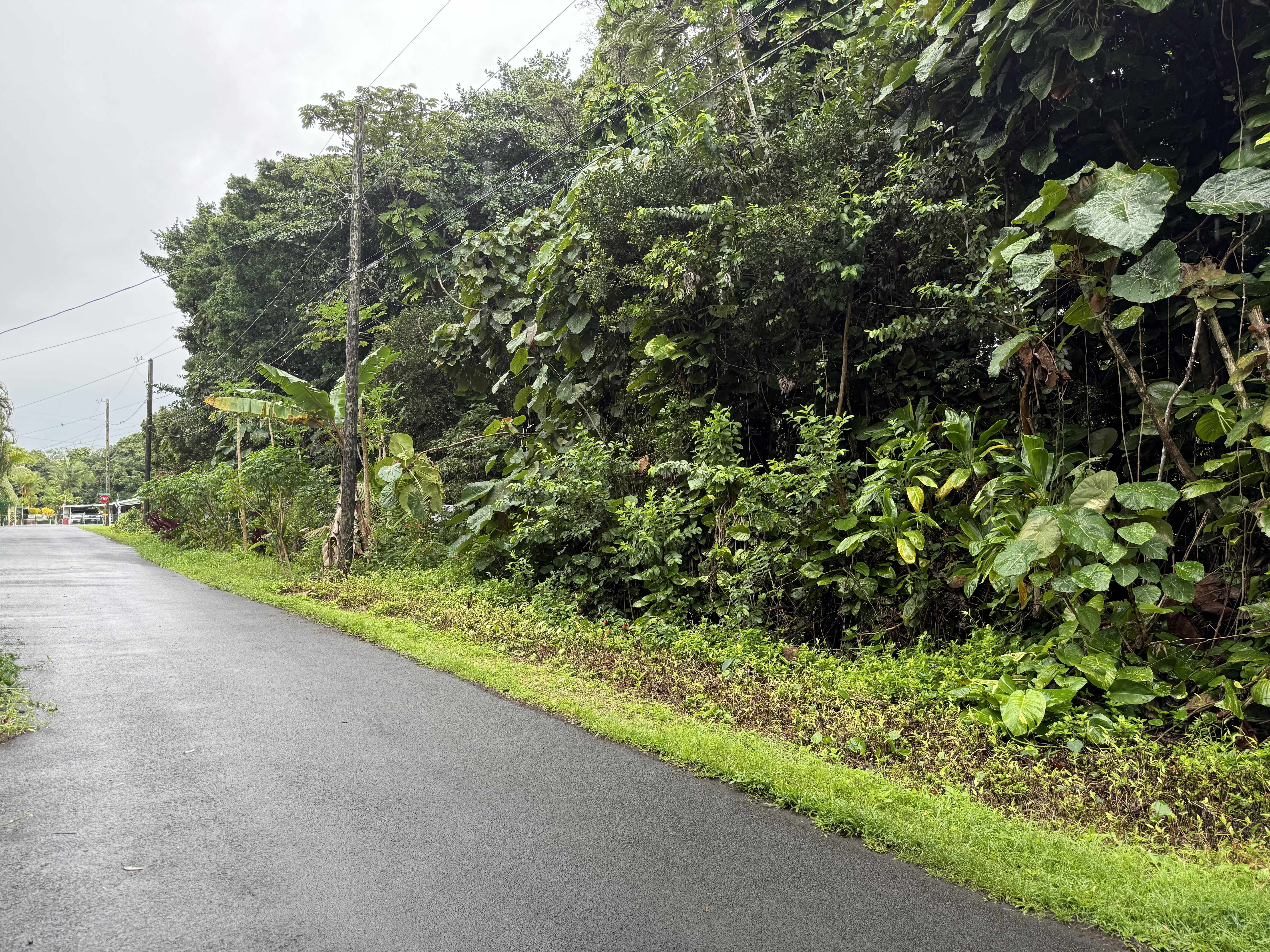 Pahoa, HI 96778,OPIHI ST