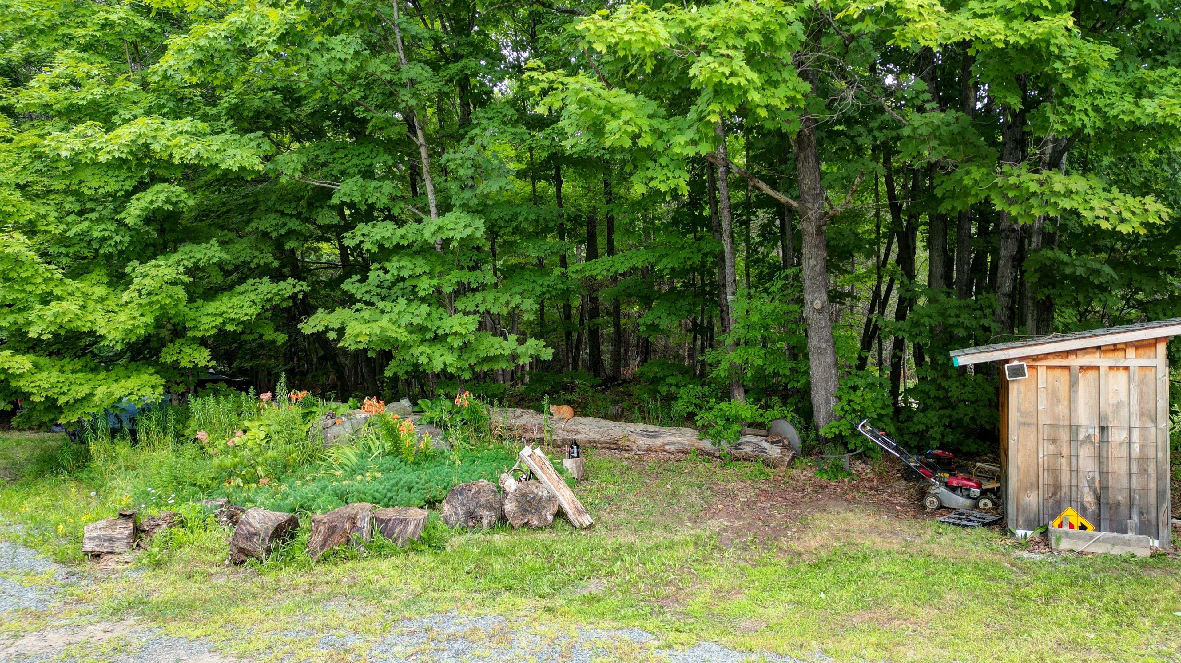 Limerick, ON K0L 1W0,1156 St Ola RD