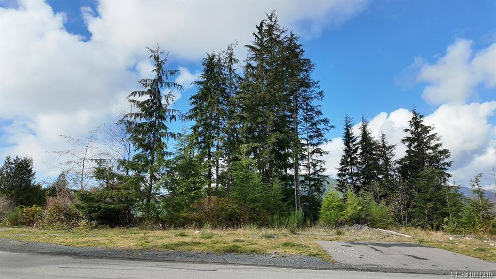 Port Renfrew, BC V0S 1K0,16922 Beachview Dr