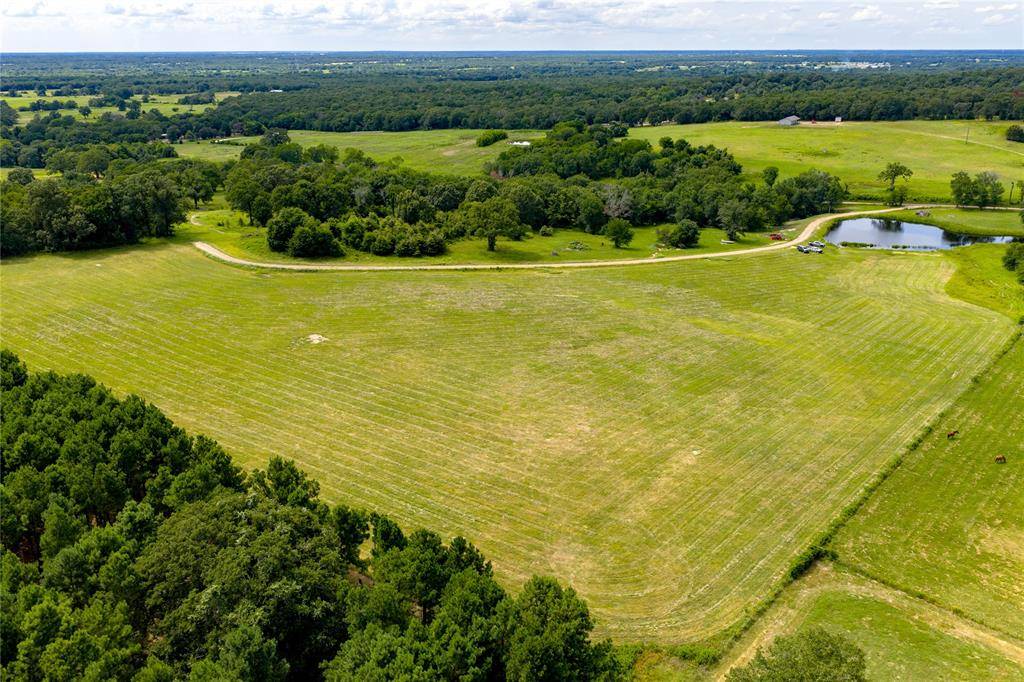 TBD Cr-1200, Athens, TX 75751