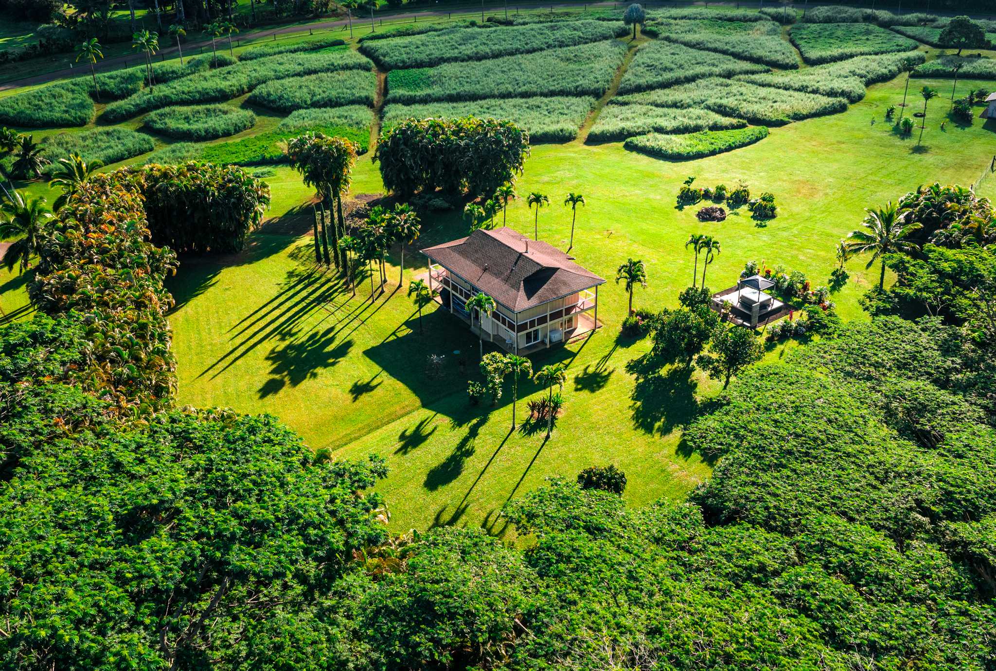 6001 KAHILIHOLO RD, Kilauea, HI 96754