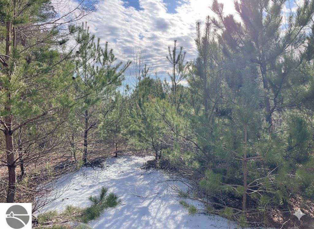 Buckley, MI 49620,Parcel N 2 1/2 RD