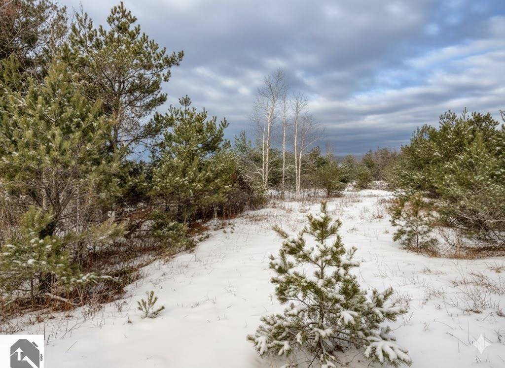 Buckley, MI 49620,Parcel N 2 1/2 RD