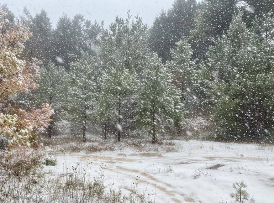 Buckley, MI 49620,Parcel F N 2 1/2 RD