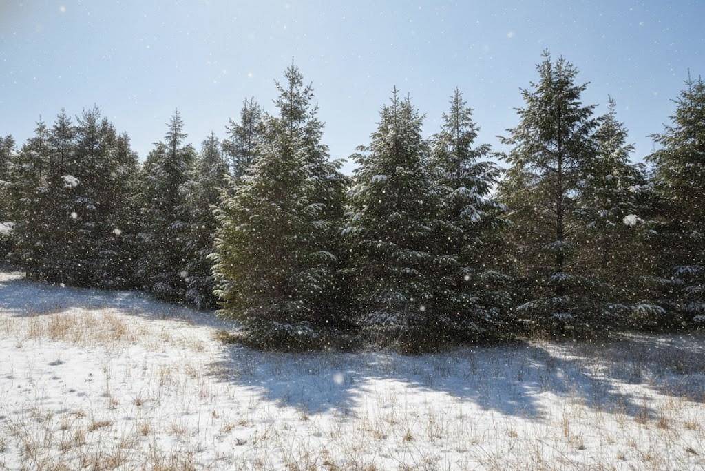 Buckley, MI 49620,Parcel F N 2 1/2 RD