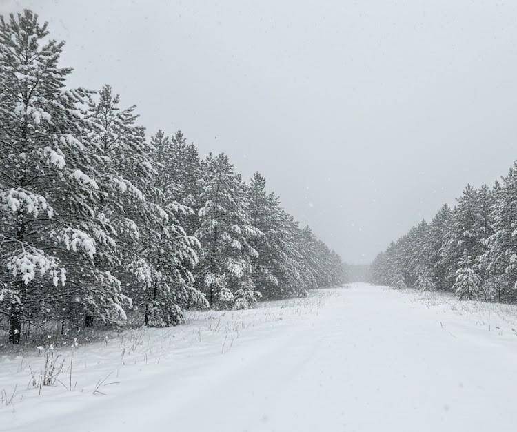 Buckley, MI 49620,Parcel F-2 N 2 1/2 RD