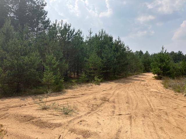 Buckley, MI 49620,Parcel F-2 N 2 1/2 RD