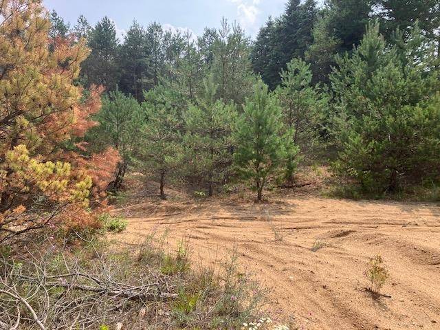 Buckley, MI 49620,Parcel F-2 N 2 1/2 RD