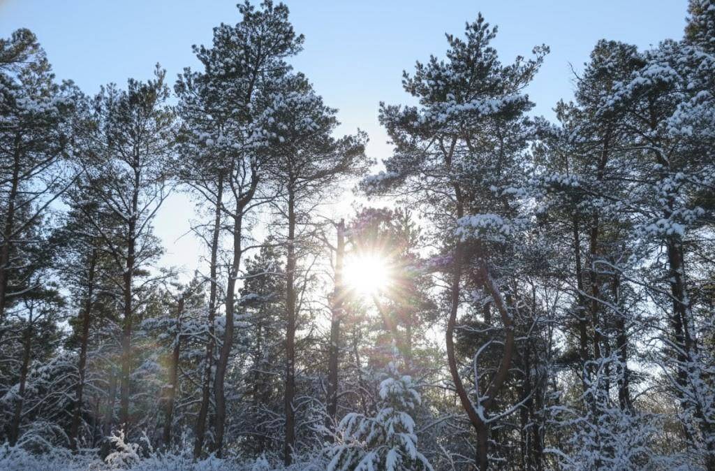 Buckley, MI 49620,Parcel F-3 N 2 1/2 RD