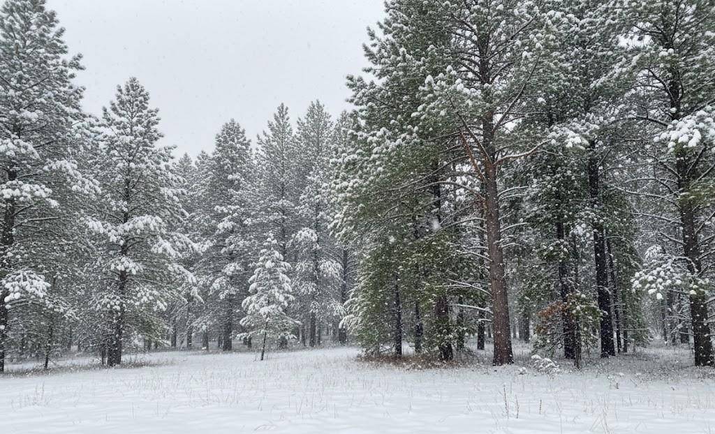 Buckley, MI 49620,Parcel F-3 N 2 1/2 RD