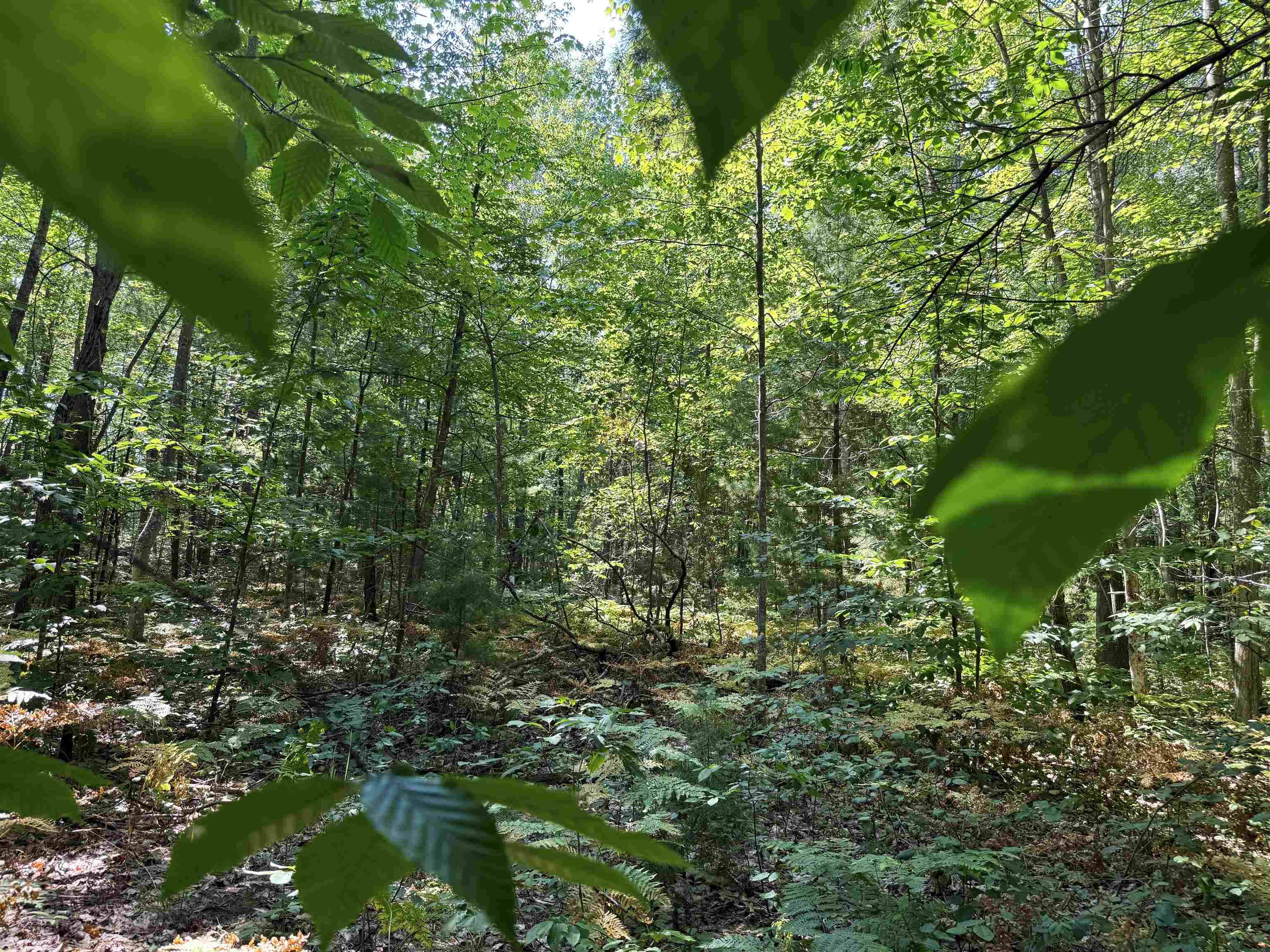 Mancelona, MI 49659,11755 NE Eagle LN