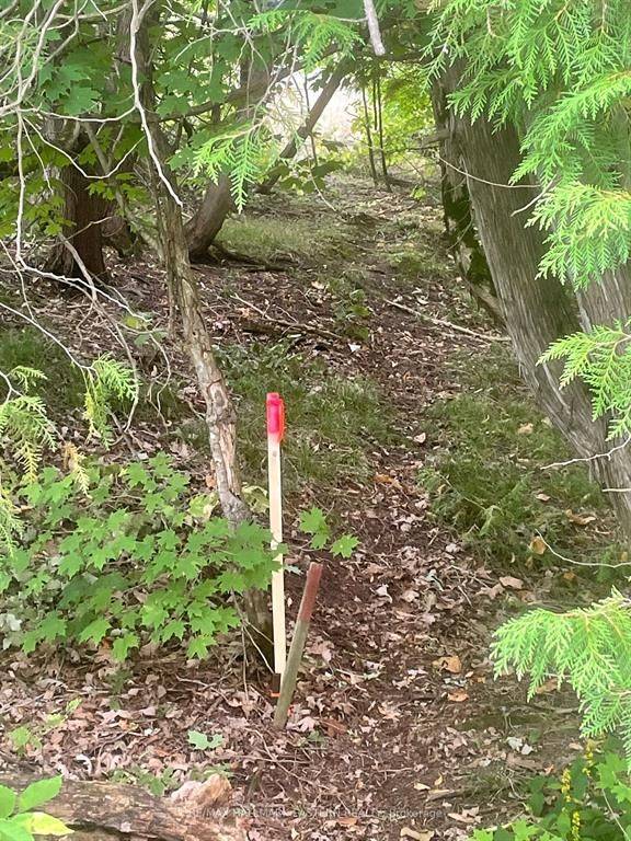 Trent Lakes, ON K0L 2J0,00 Adams-Cummings RD