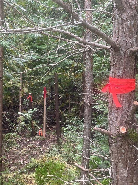 Trent Lakes, ON K0L 2J0,00 Adams-Cummings RD