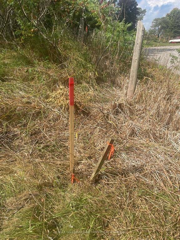 Trent Lakes, ON K0L 2J0,00 Adams-Cummings RD