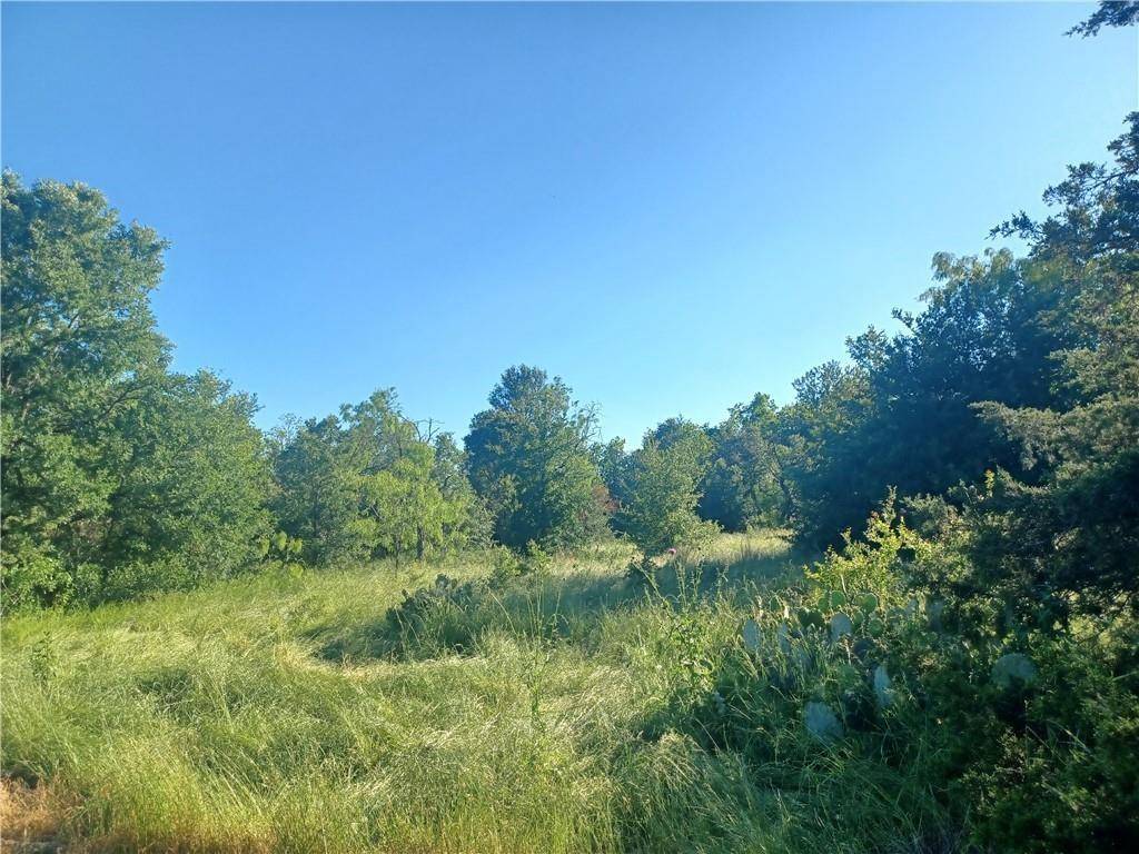 Mexia, TX 76667,TBD W HWY 84