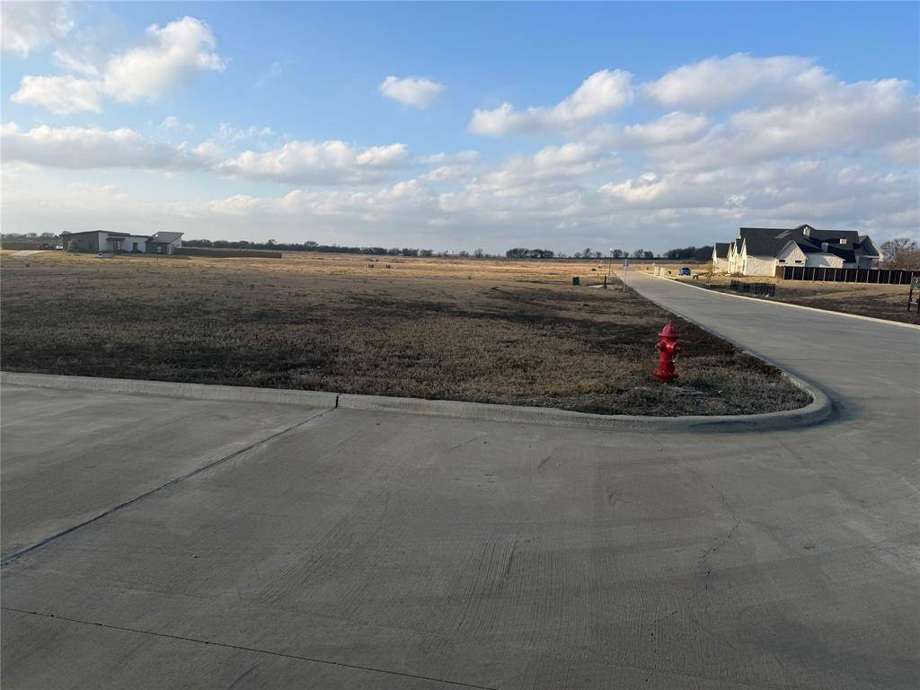 Lorena, TX 76655,133 Iris Street