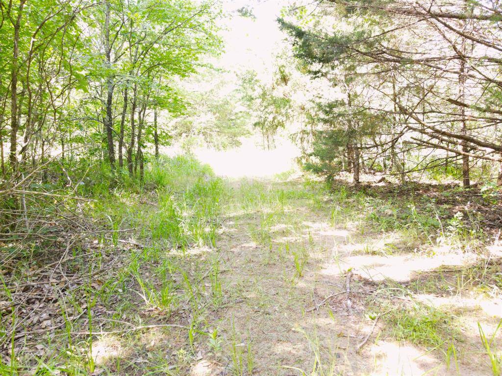 Terrell, TX 75161,12975 Cr-316