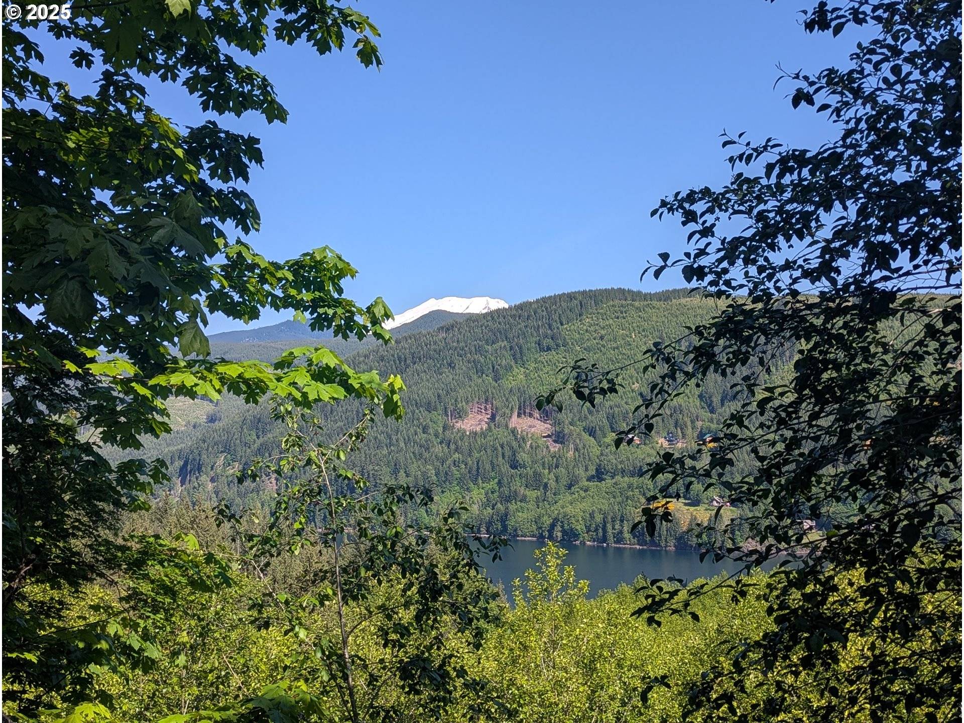 Cougar, WA 98616,0000 Parcel 0706340003030