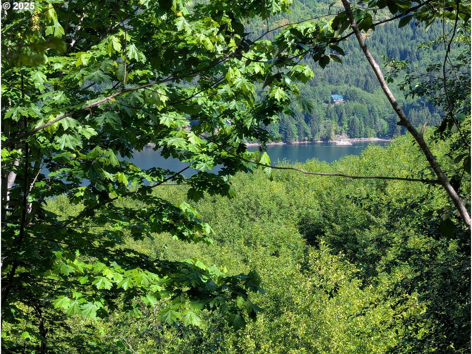 Cougar, WA 98616,0000 Parcel 0706340003030