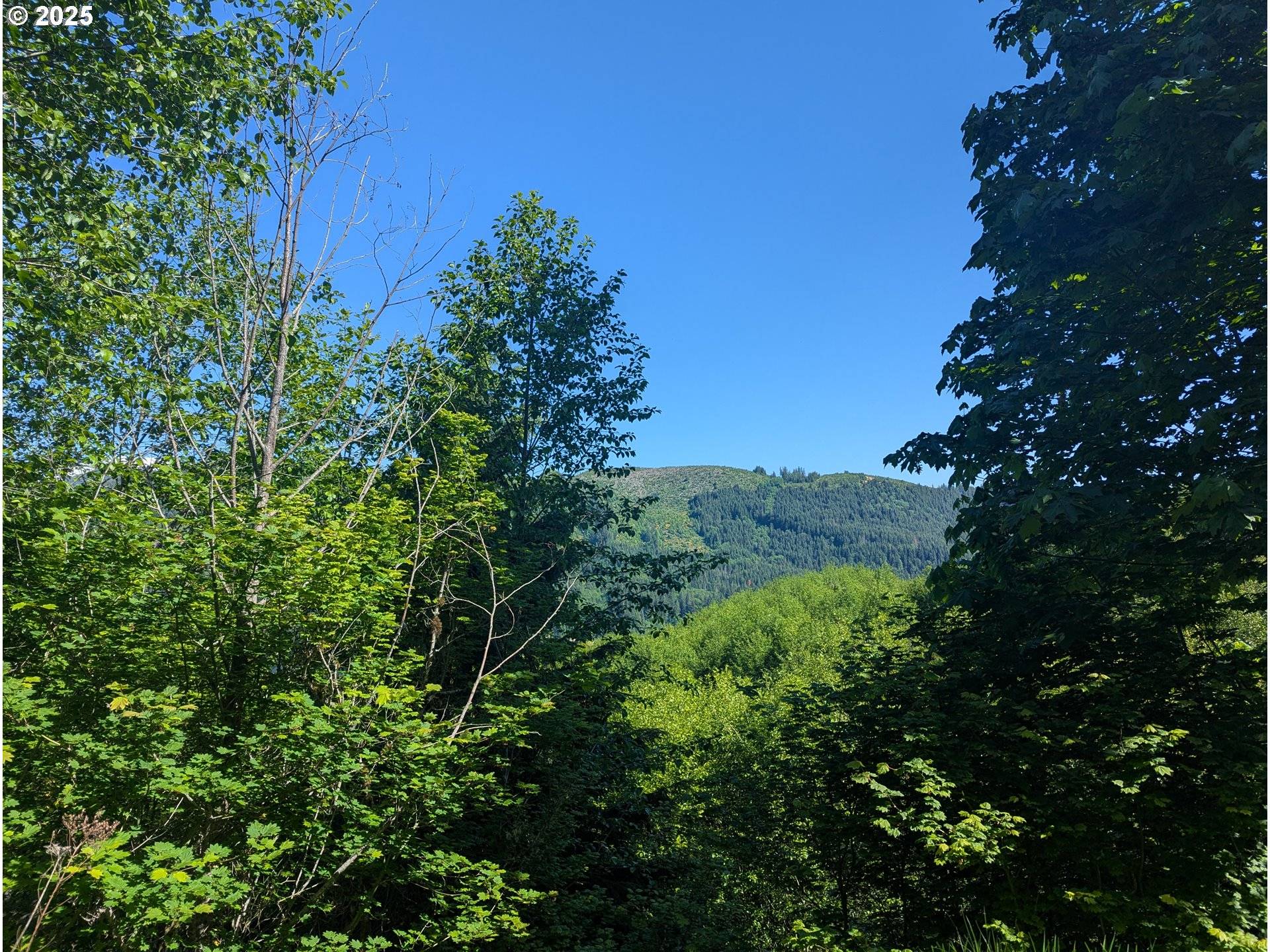 Cougar, WA 98616,0000 Parcel 0706340003030