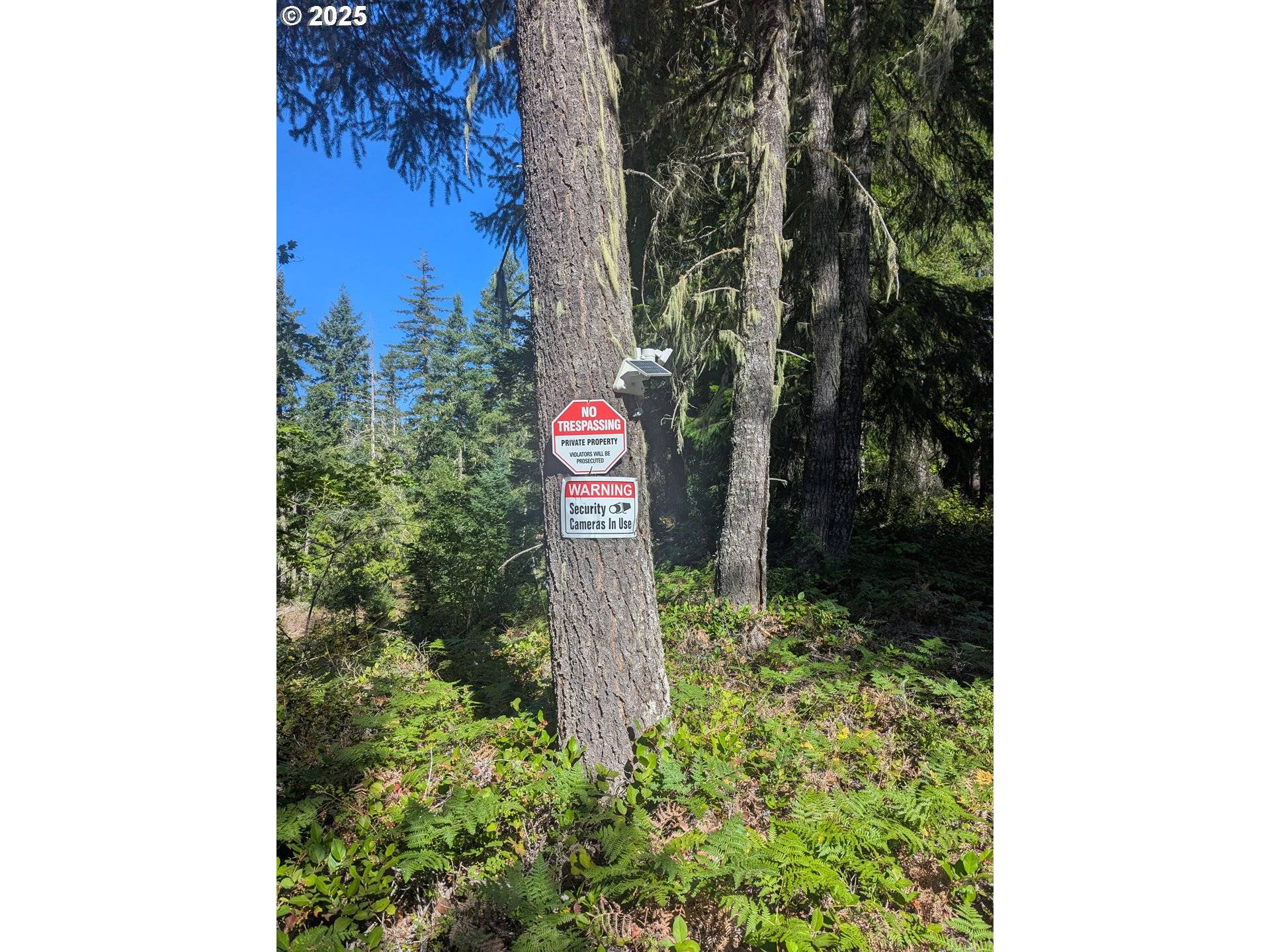 Cougar, WA 98616,30 Nymark DR