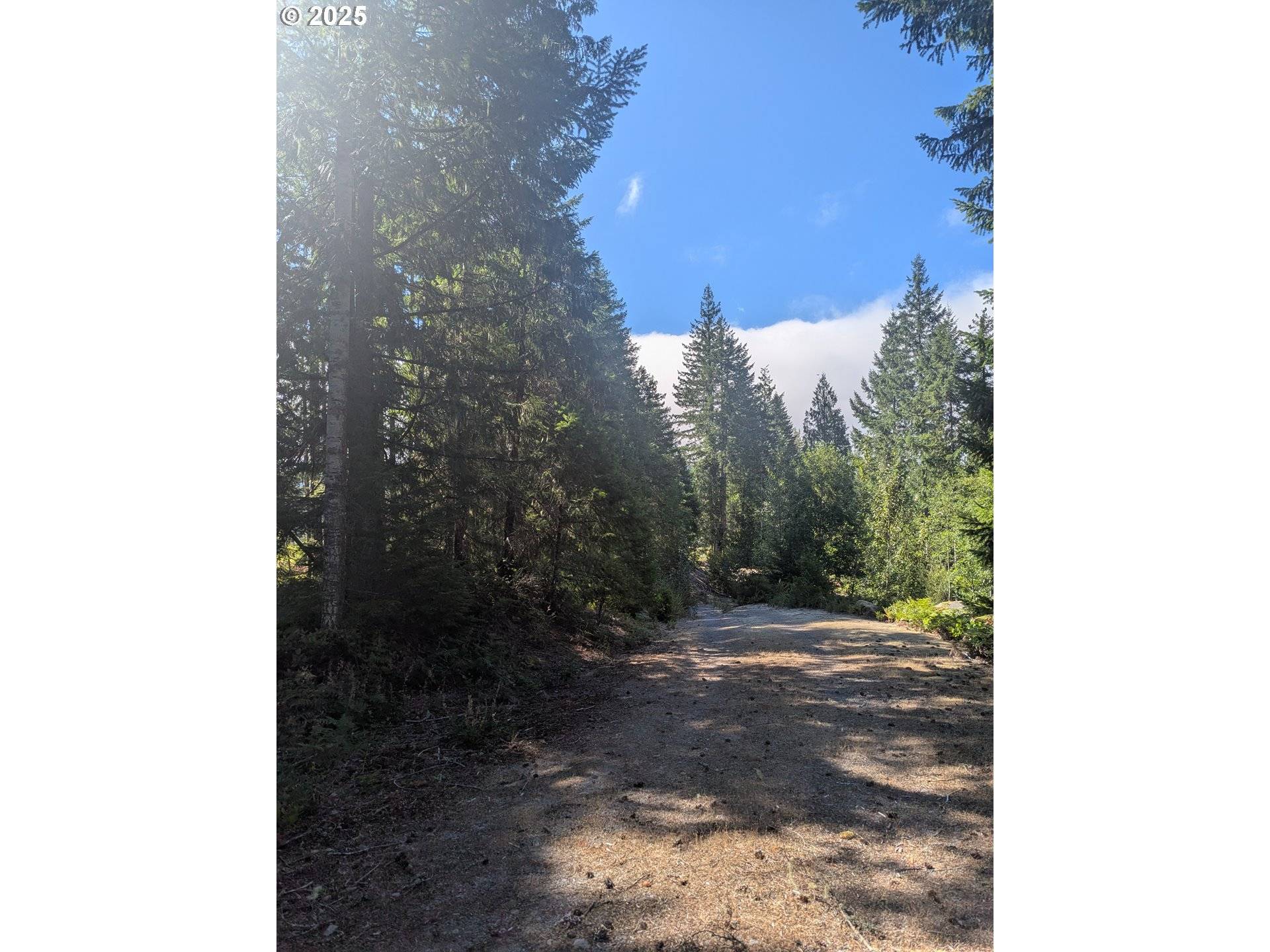 30 Nymark DR, Cougar, WA 98616