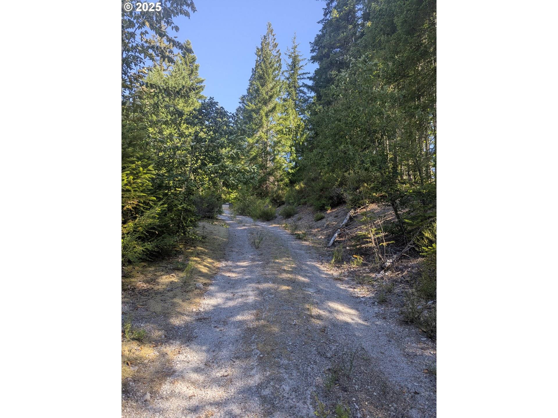 30 Nymark DR, Cougar, WA 98616