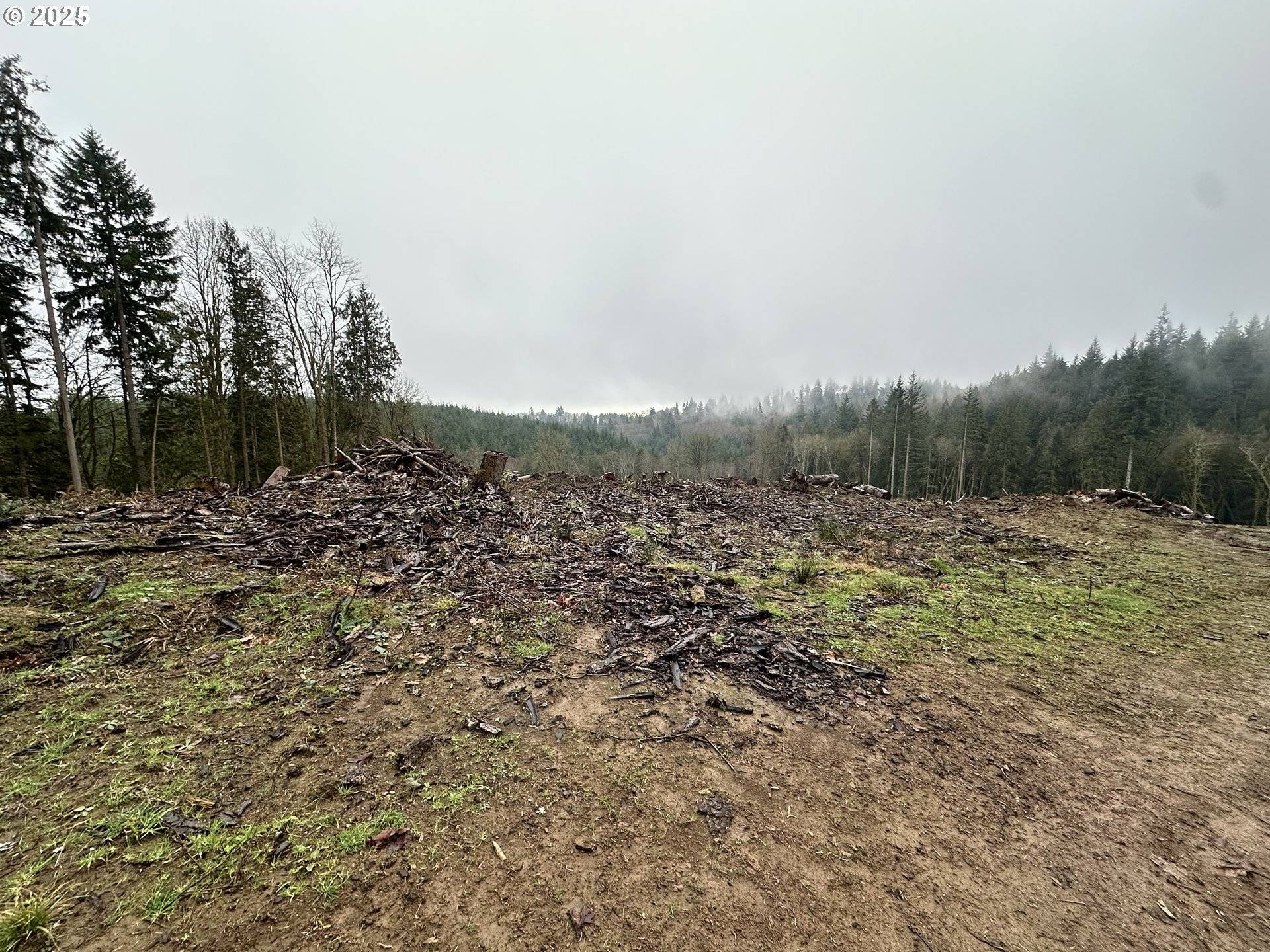 Rainier, OR 97048,0 Terry RD