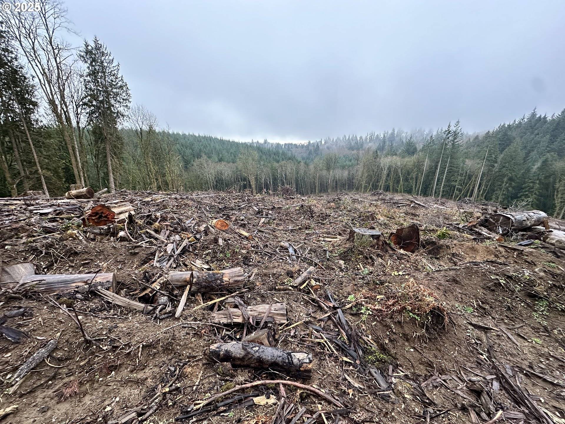 Rainier, OR 97048,0 Terry RD