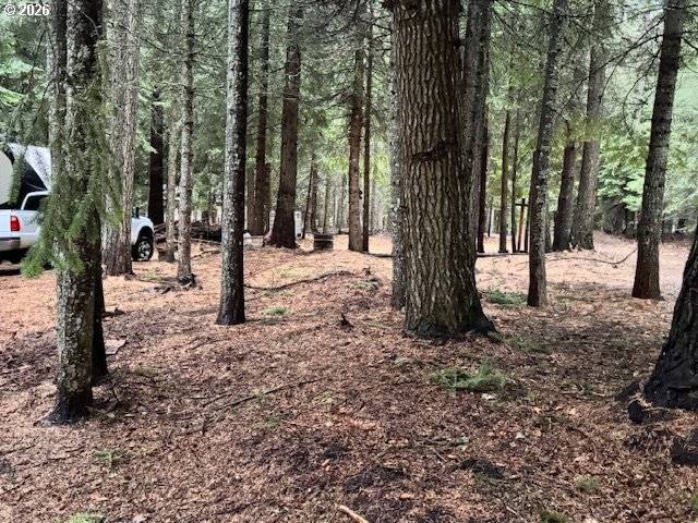 Weston, OR 97886,58466 WILDWOOD LOOP