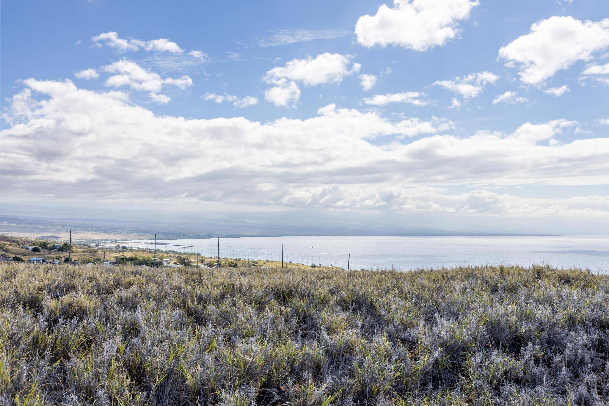 Kamuela, HI 96743,59-127 HONUKAI PL