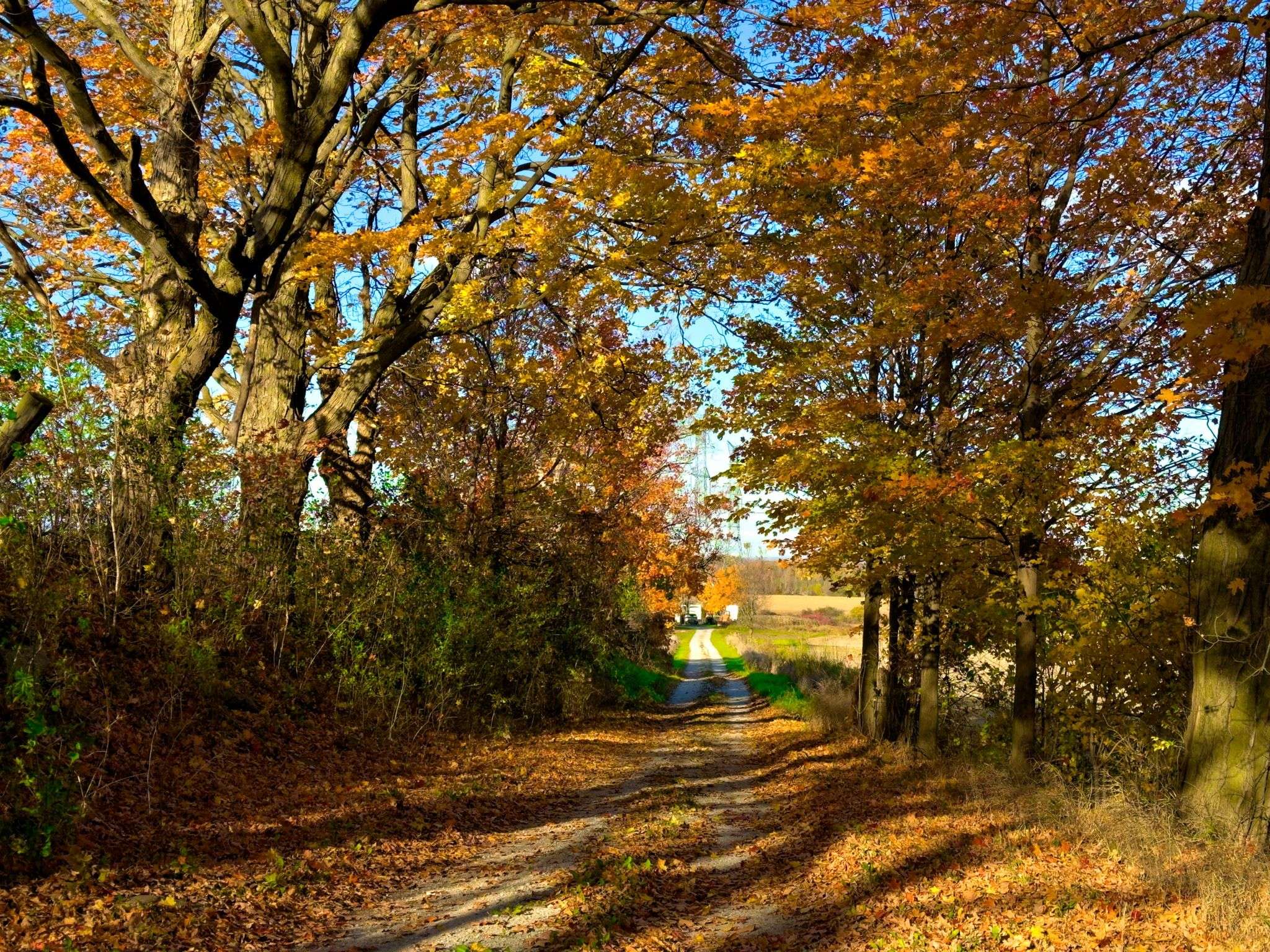 Halton Hills, ON L7J 2M1,11889 Fourth Line